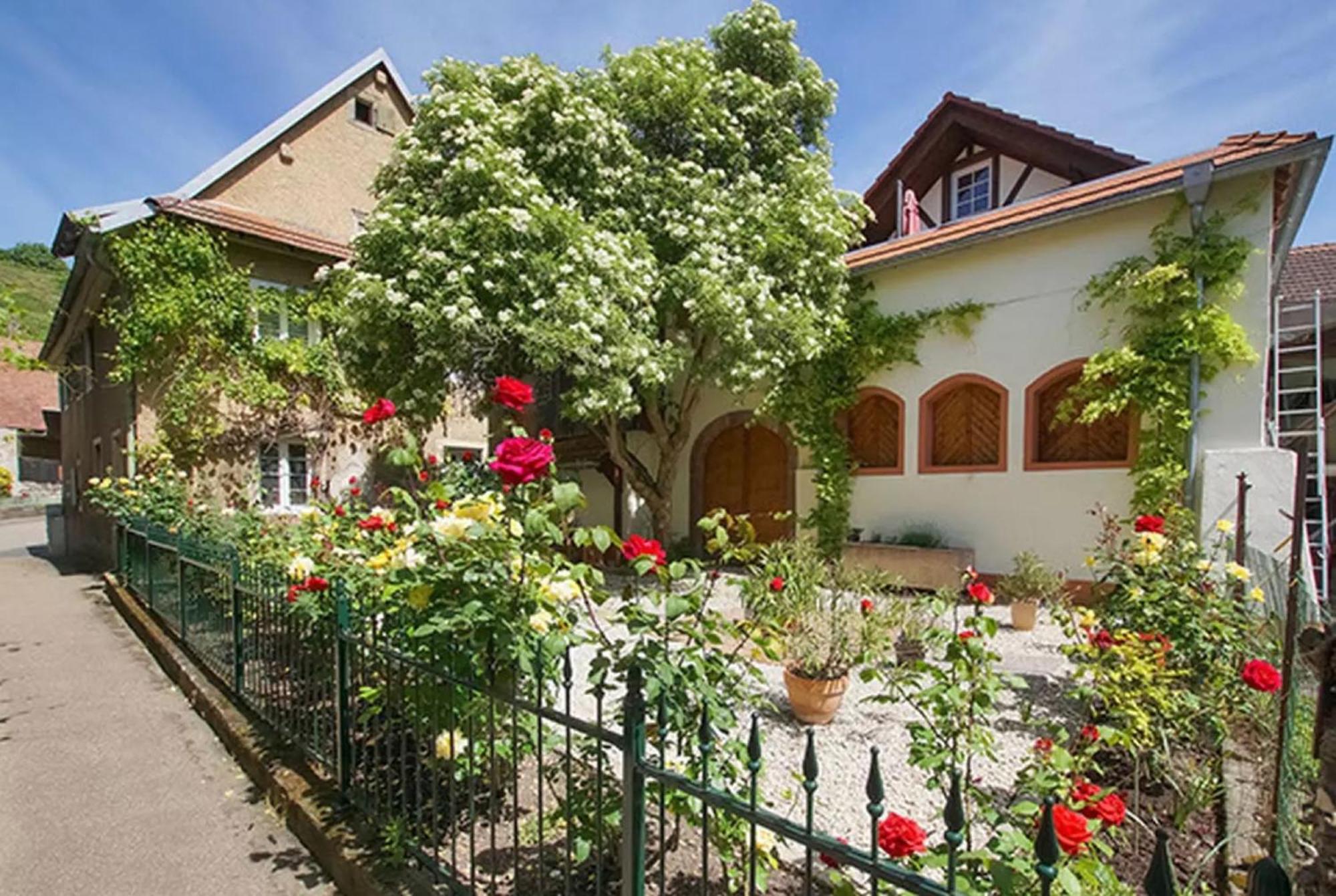 Apartment Altes Rathaus