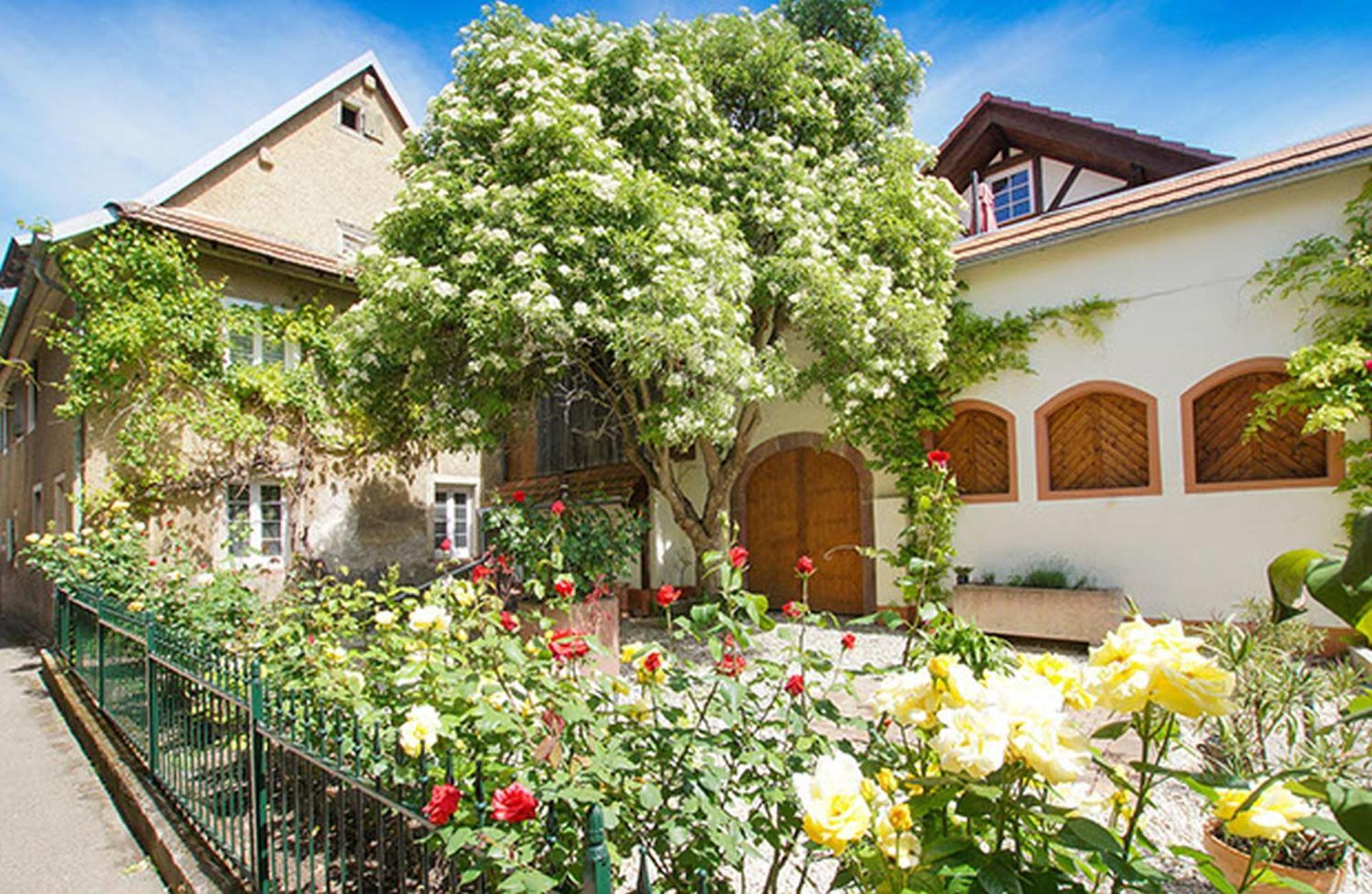 Apartment Altes Rathaus Vogtsburg